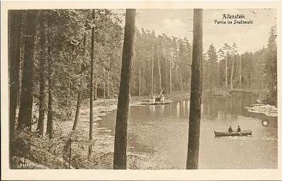 Allenstein, Partie am Stadtwald ca. 1920