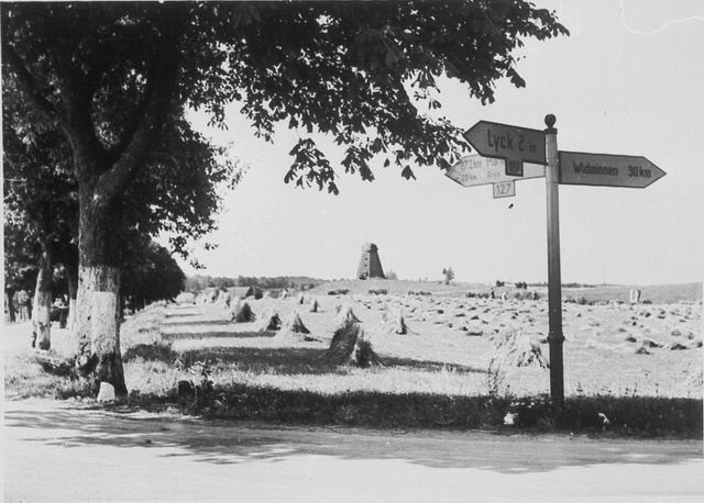 E�k - Ma�y m�yn